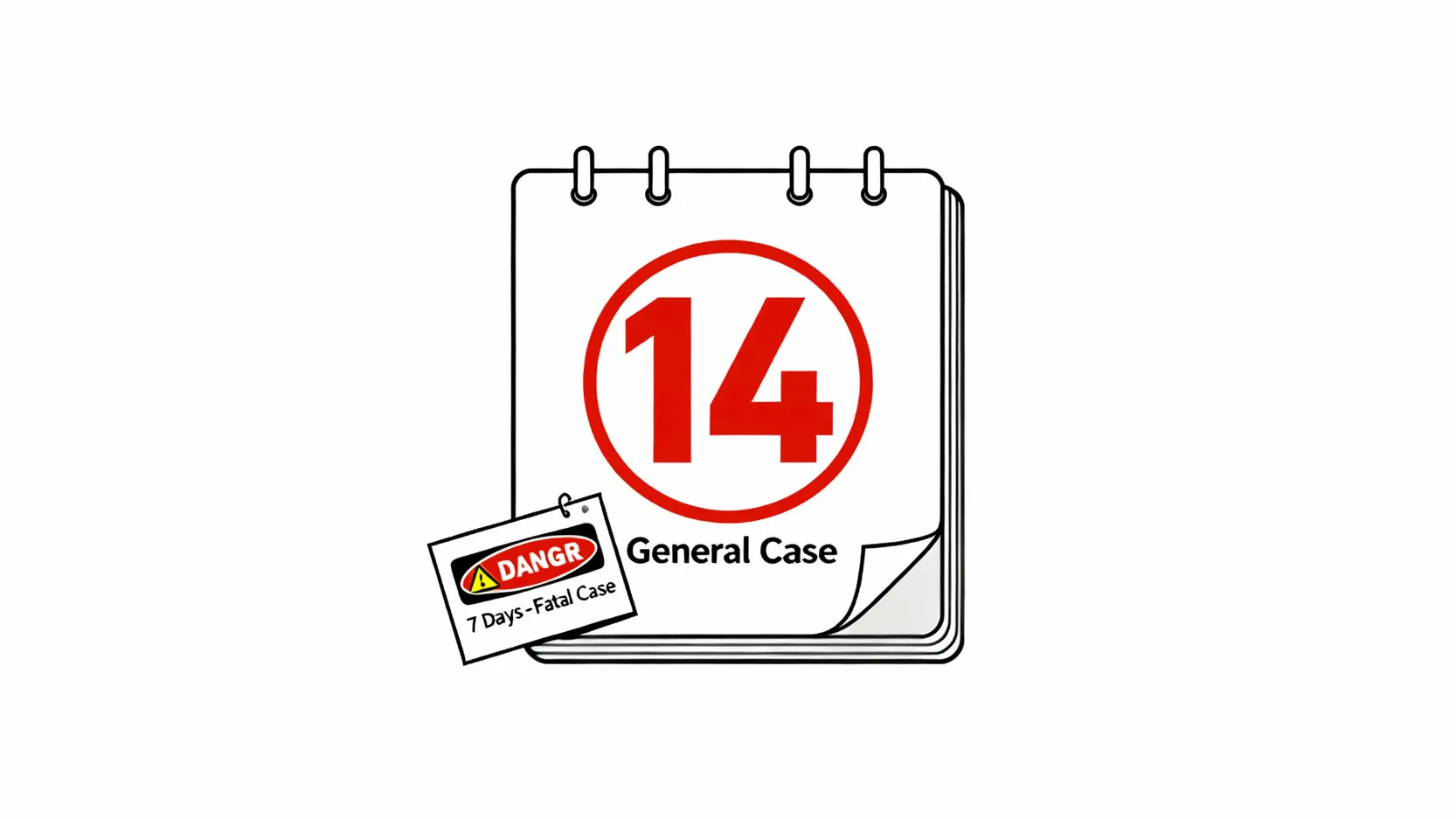 【報工傷程序教學】一文看懂呈報工傷期限、病假錢及僱主責任 5 呈報工傷期限示意圖,一般工傷個案為14天,死亡個案為7天。